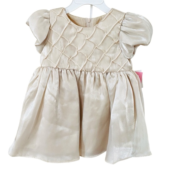 RARE EDITIONS Baby Shimmer Organza Social Fit and Flare Puff Sleeve Dress 24 Mon - Picture 1 of 15